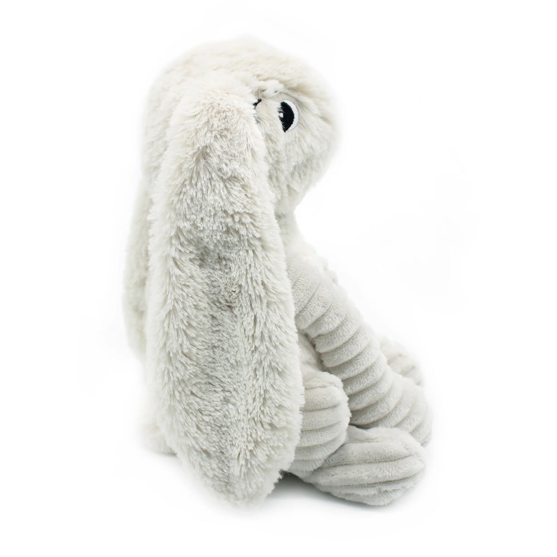 Toudou the Rabbit - Les Ptipotos