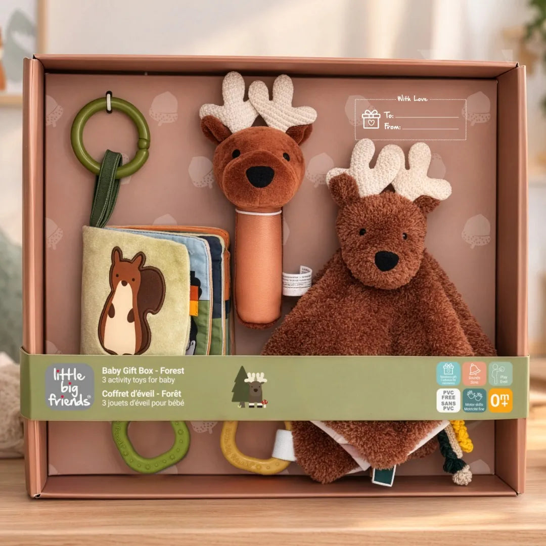 Baby Gift Box - Forest Forest - Little Big Friends