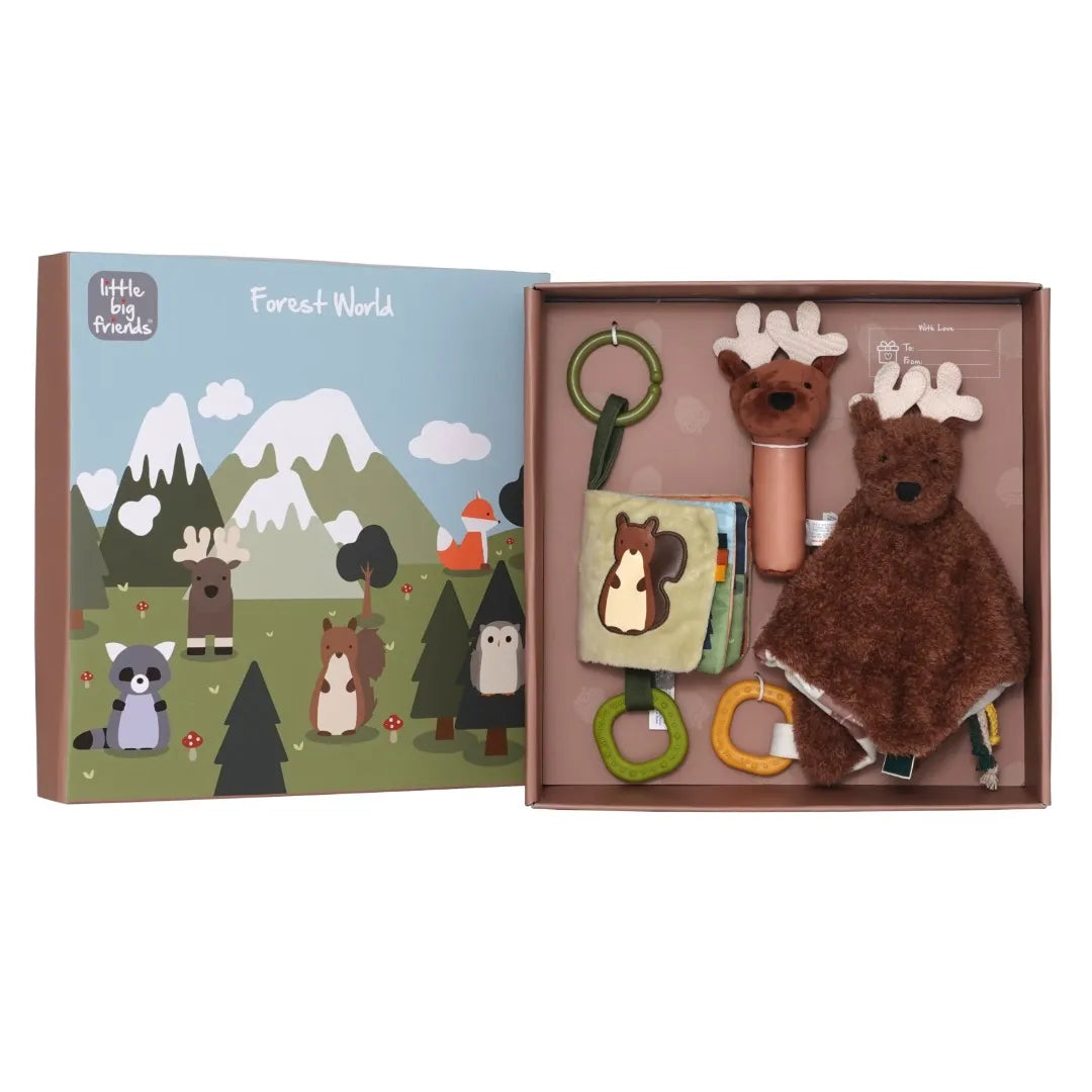 Baby Gift Box - Forest Forest - Little Big Friends