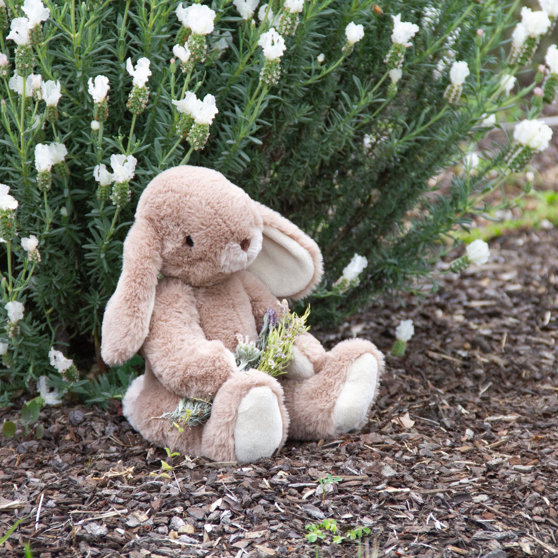 Margo Rabbit Large Large Brown - Wonderlings