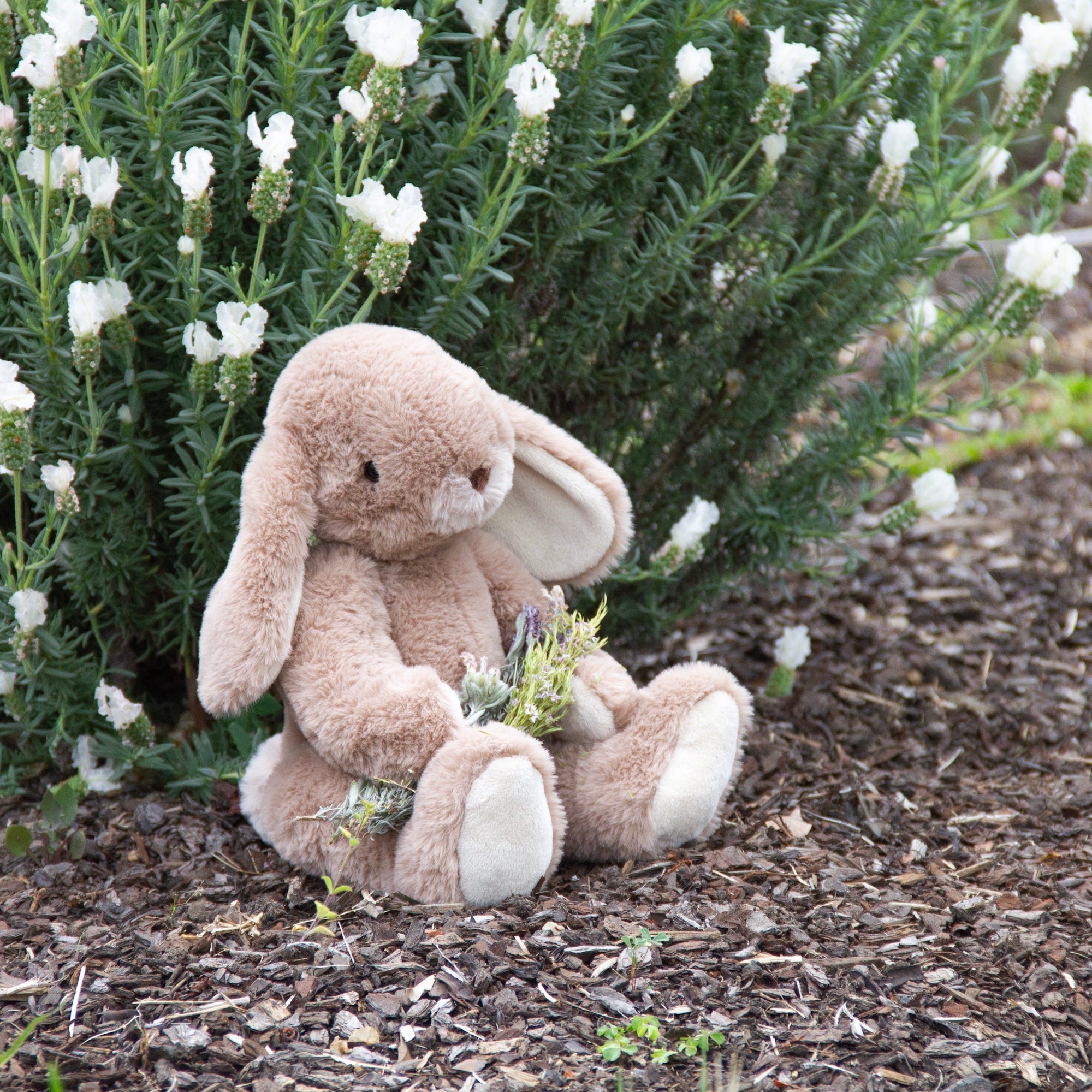 Margo Rabbit Large Large Brown - Wonderlings