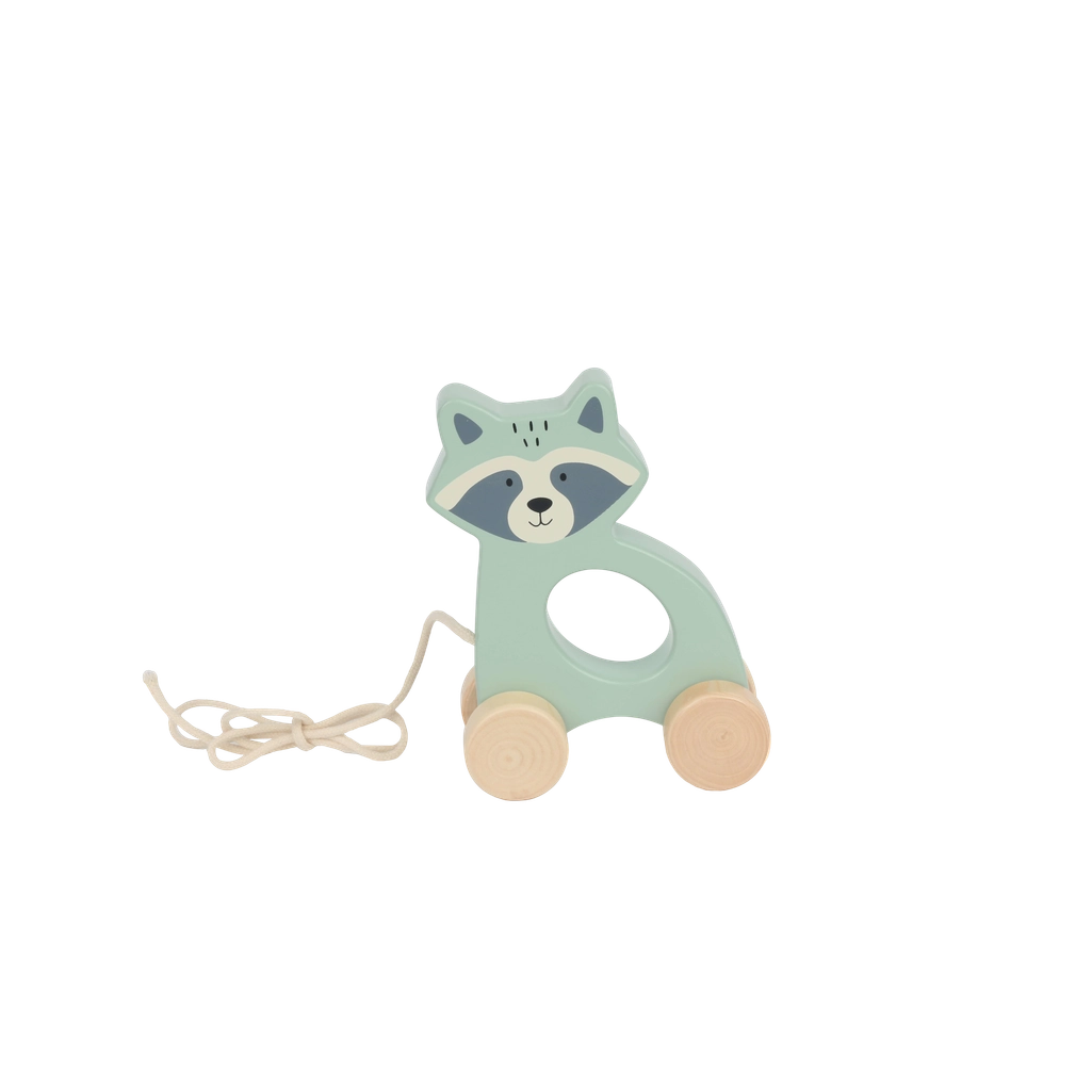 Wooden Racoon Pull Along - Bubble