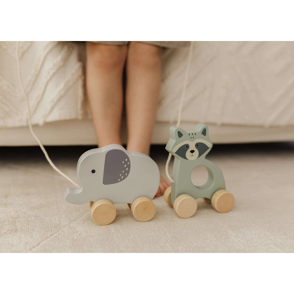 Wooden Racoon Pull Along - Bubble