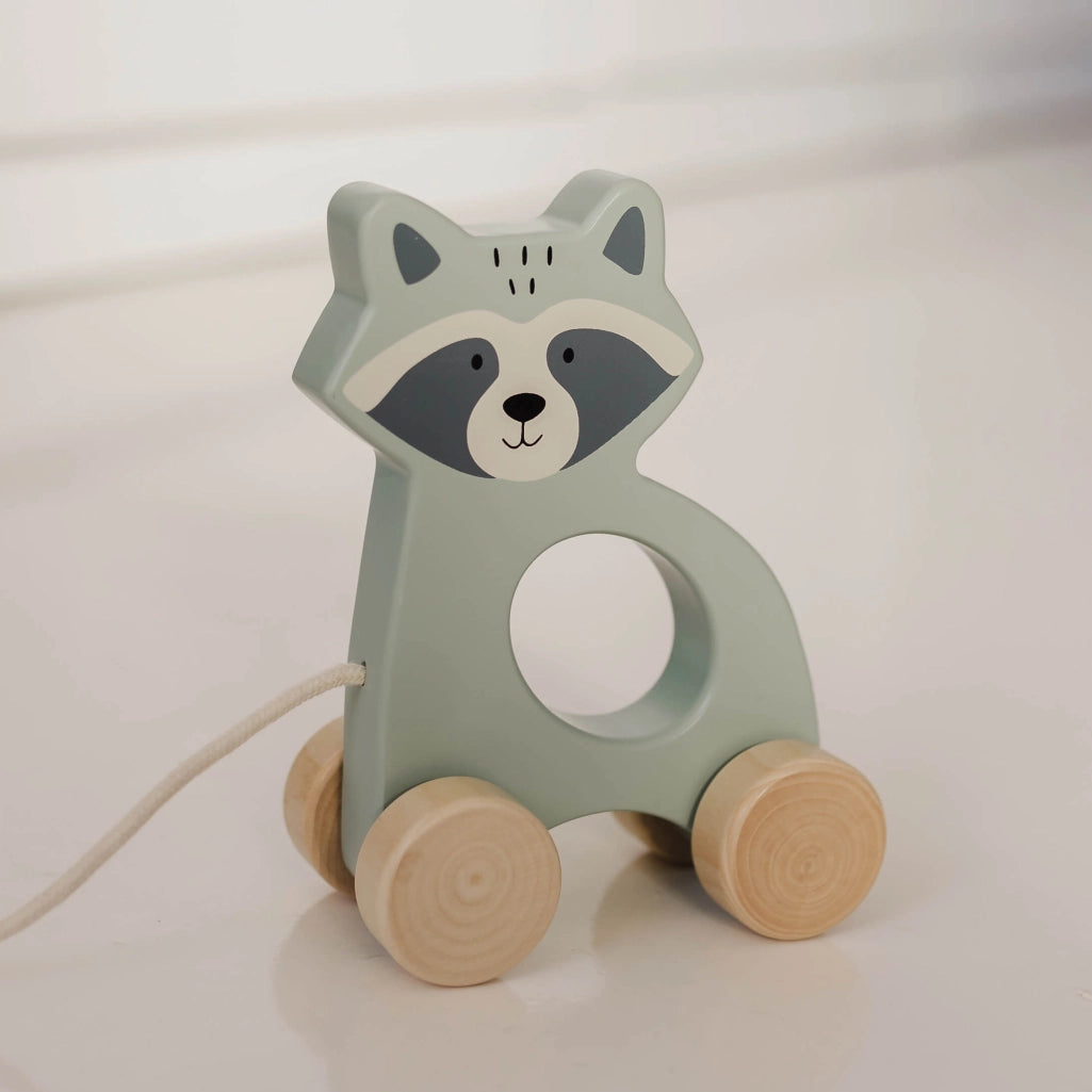 Wooden Racoon Pull Along - Bubble