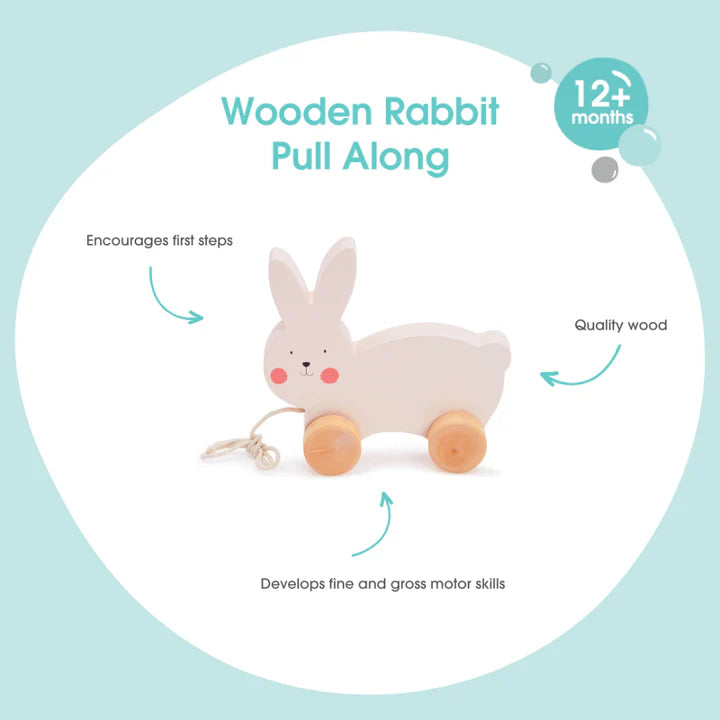 Wooden Rabbit Pull Along - Bubble