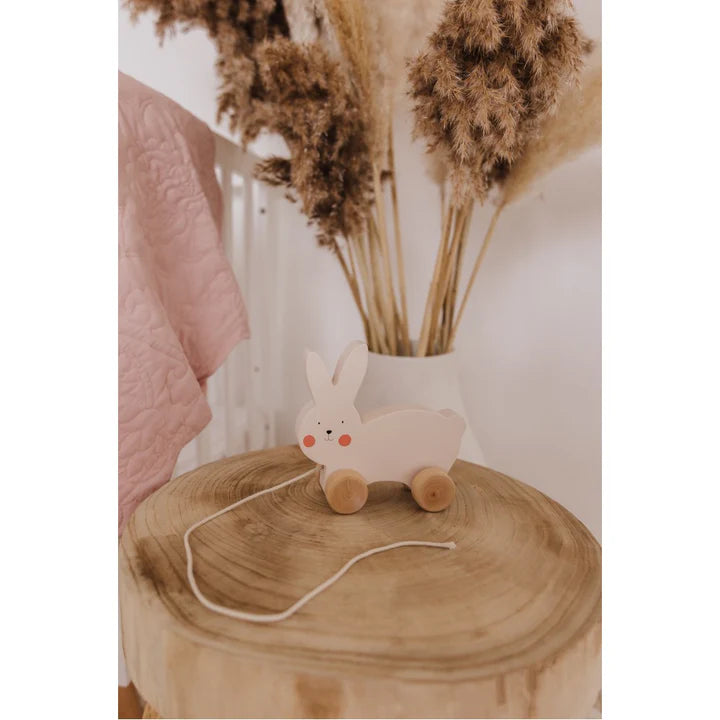 Wooden Rabbit Pull Along - Bubble
