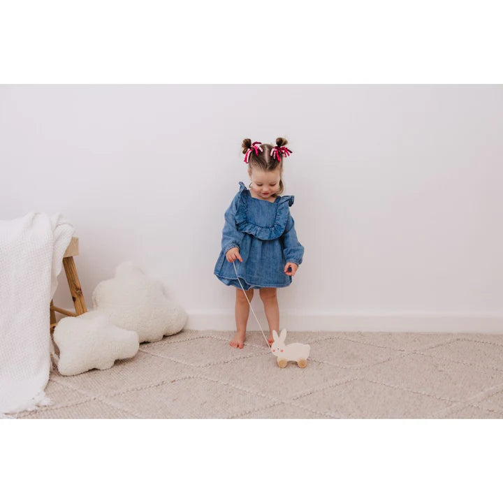 Wooden Rabbit Pull Along - Bubble