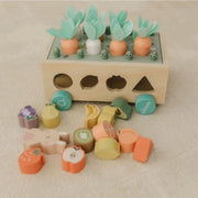 Interactive Wooden Vege Garden