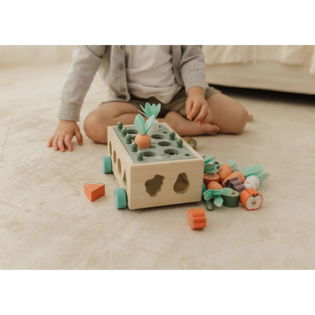 Interactive Wooden Vege Garden - Bubble