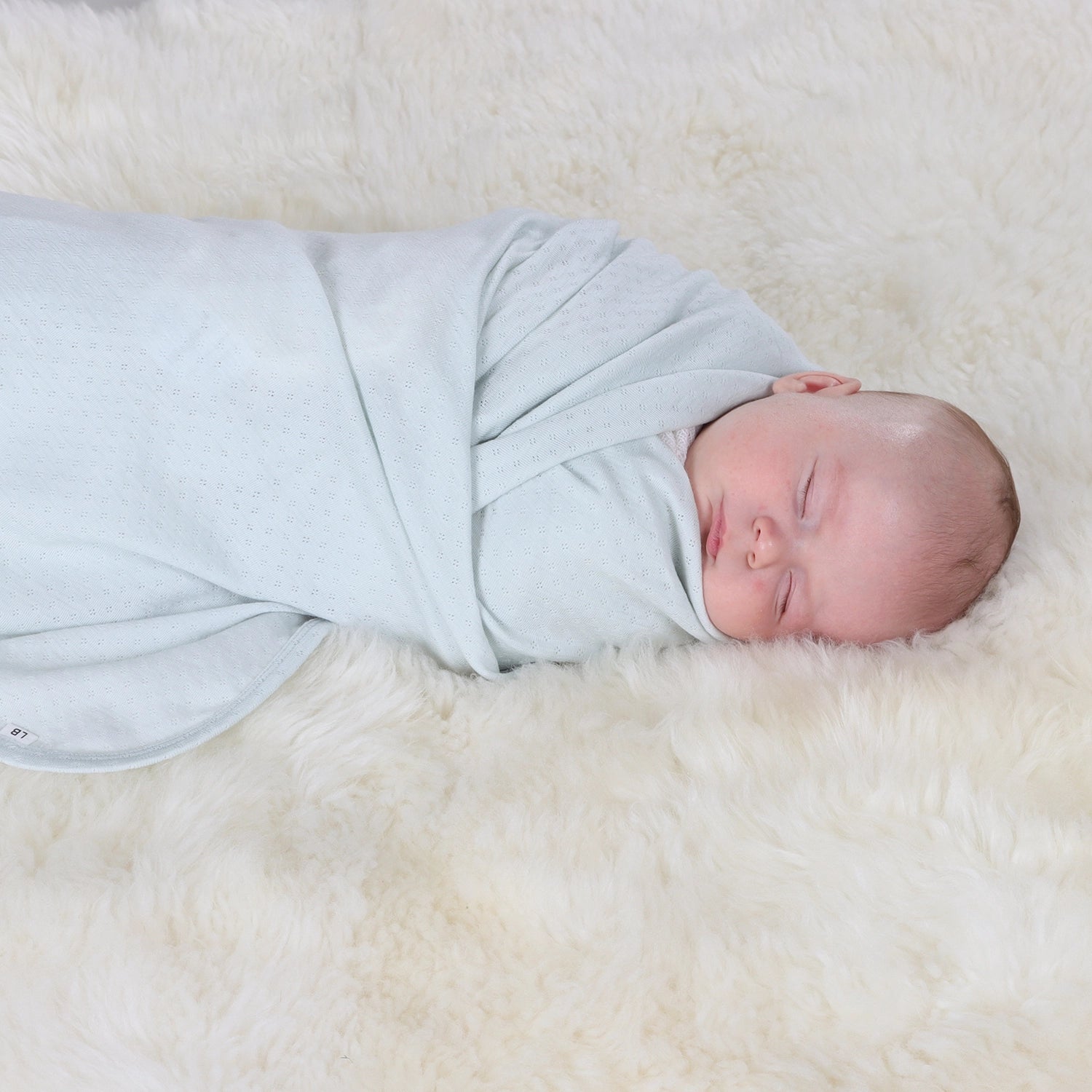 Merino XL Wrap Duck Egg O/S - Little Bee by Dimples