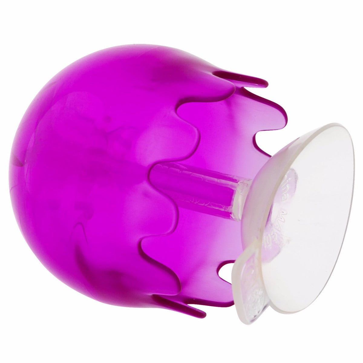 Jellies Suction Cups - Boon - Dimples