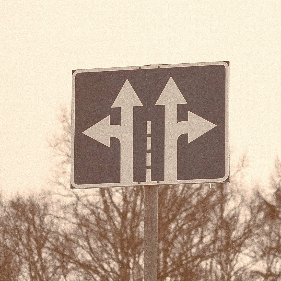 Road sign with directional arrows against a blurred natural background