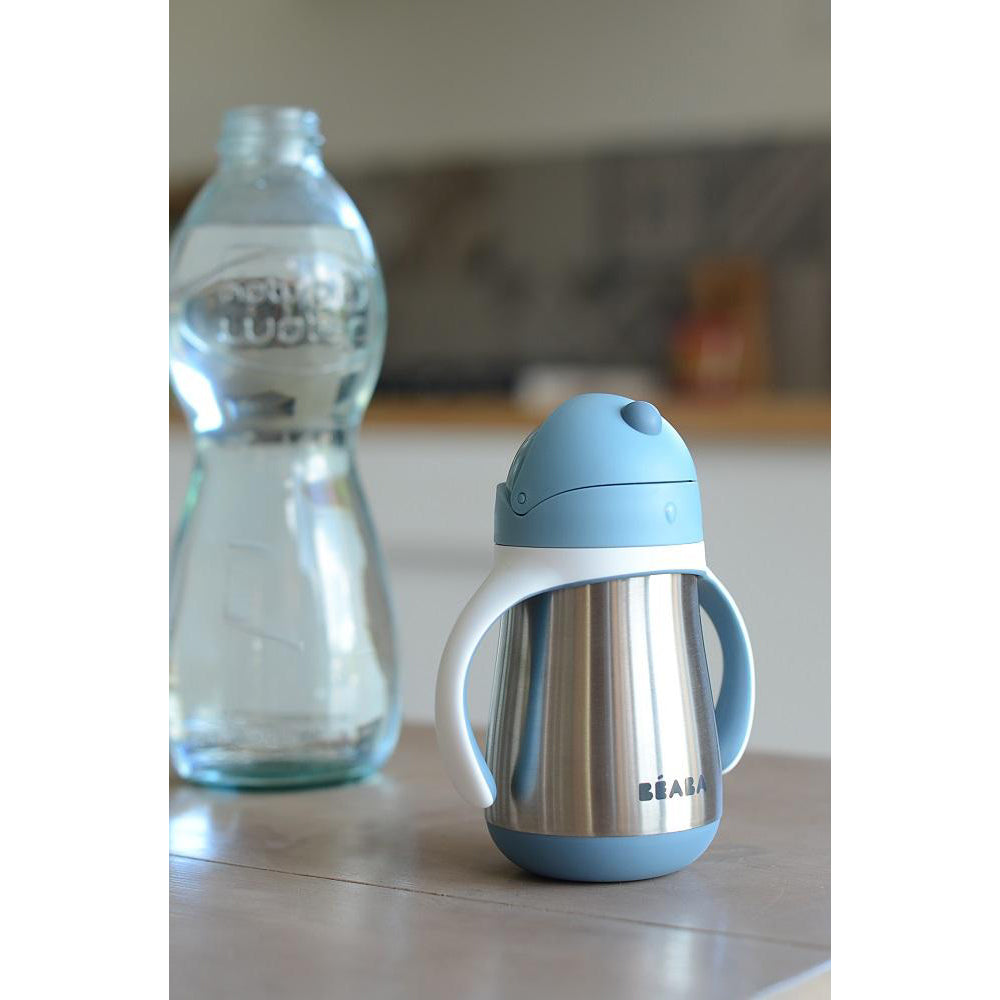 Stainless Steel Straw Cup