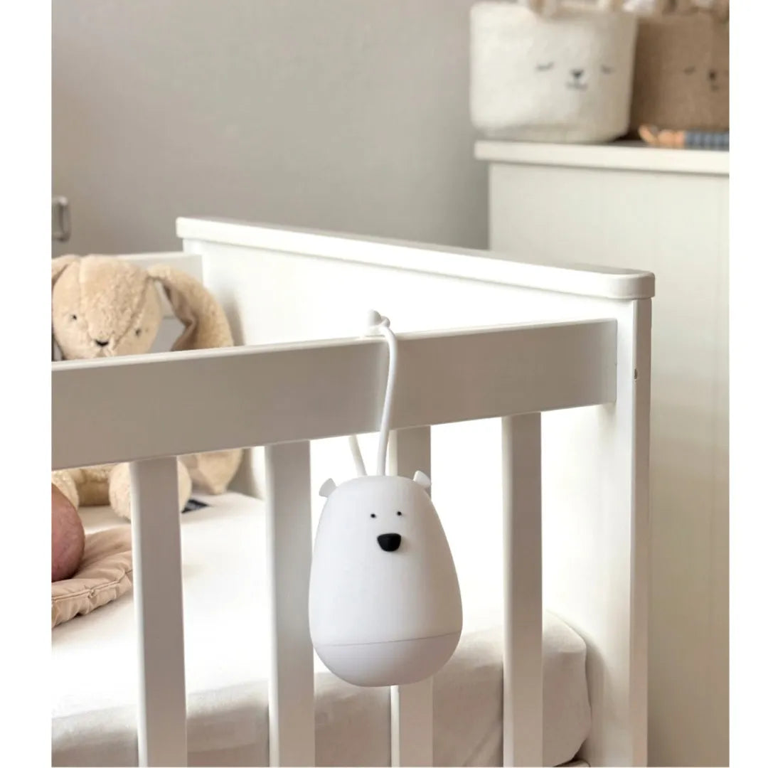 Bear Hanging Night Lamp