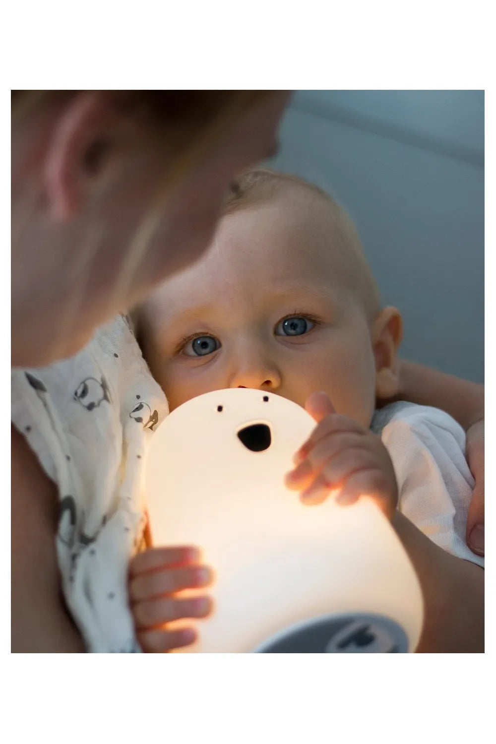Bear Silicone Lamp - Rabbit and Friends