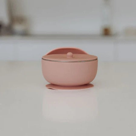 Baby Stainless Steel Suction Bowl with Lid Posey - Ease.Baby