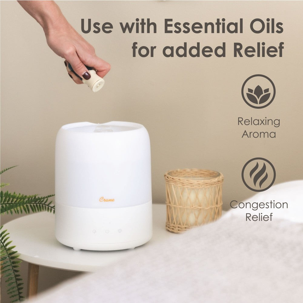 Crane Dehumidifier in a bedroom