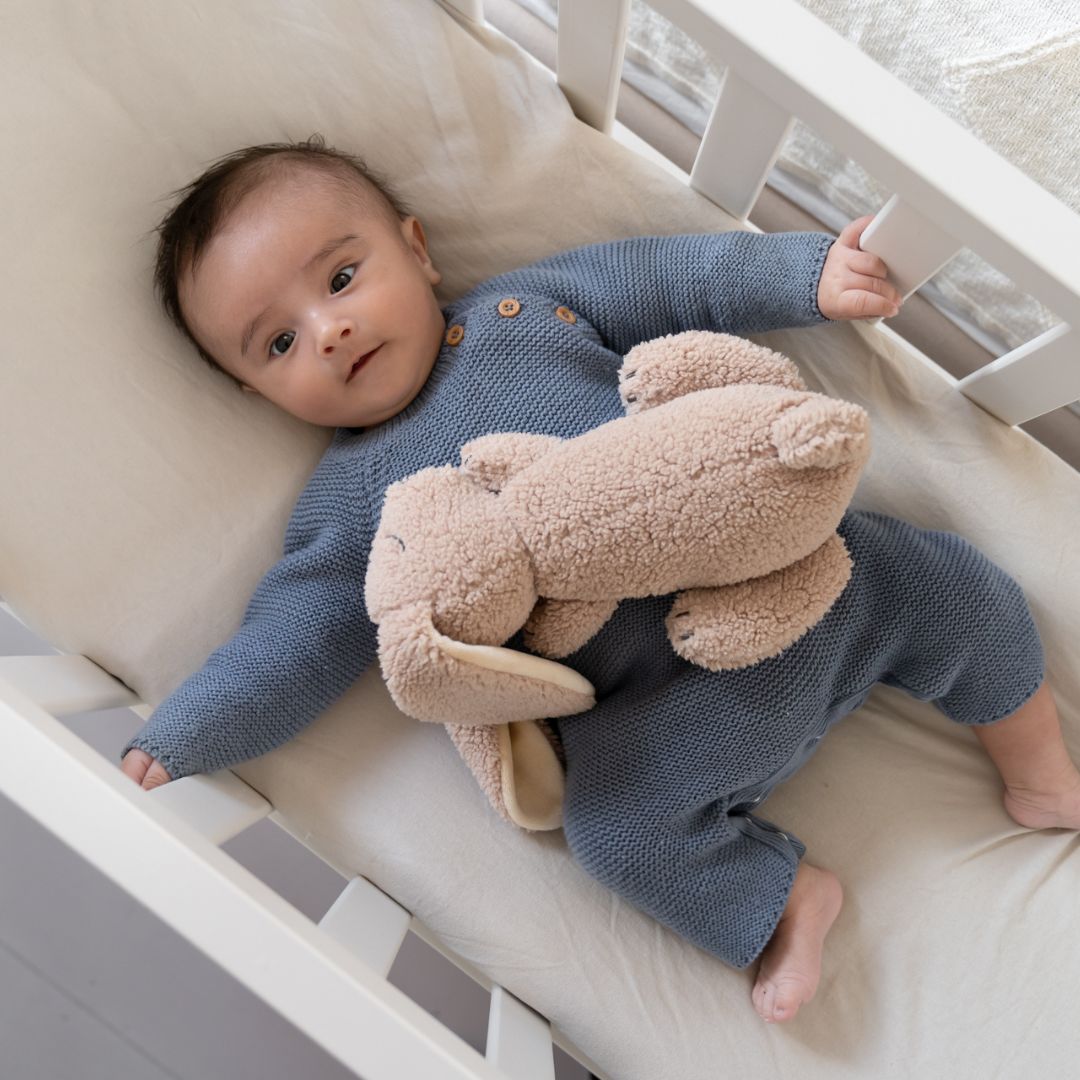 Snoogy Bunny Heat Pack Plush Biscuit - doomoo