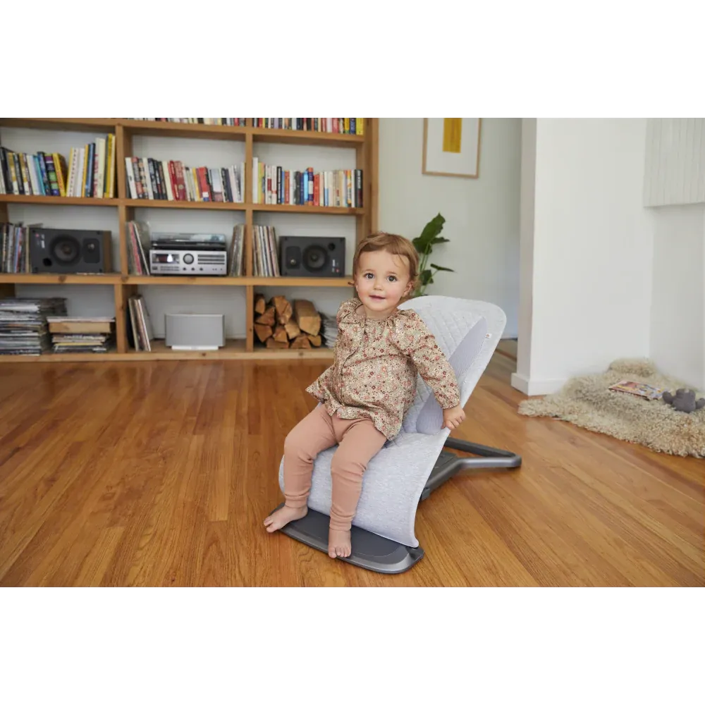 Ergobaby Evolve 3 in 1 Bouncer