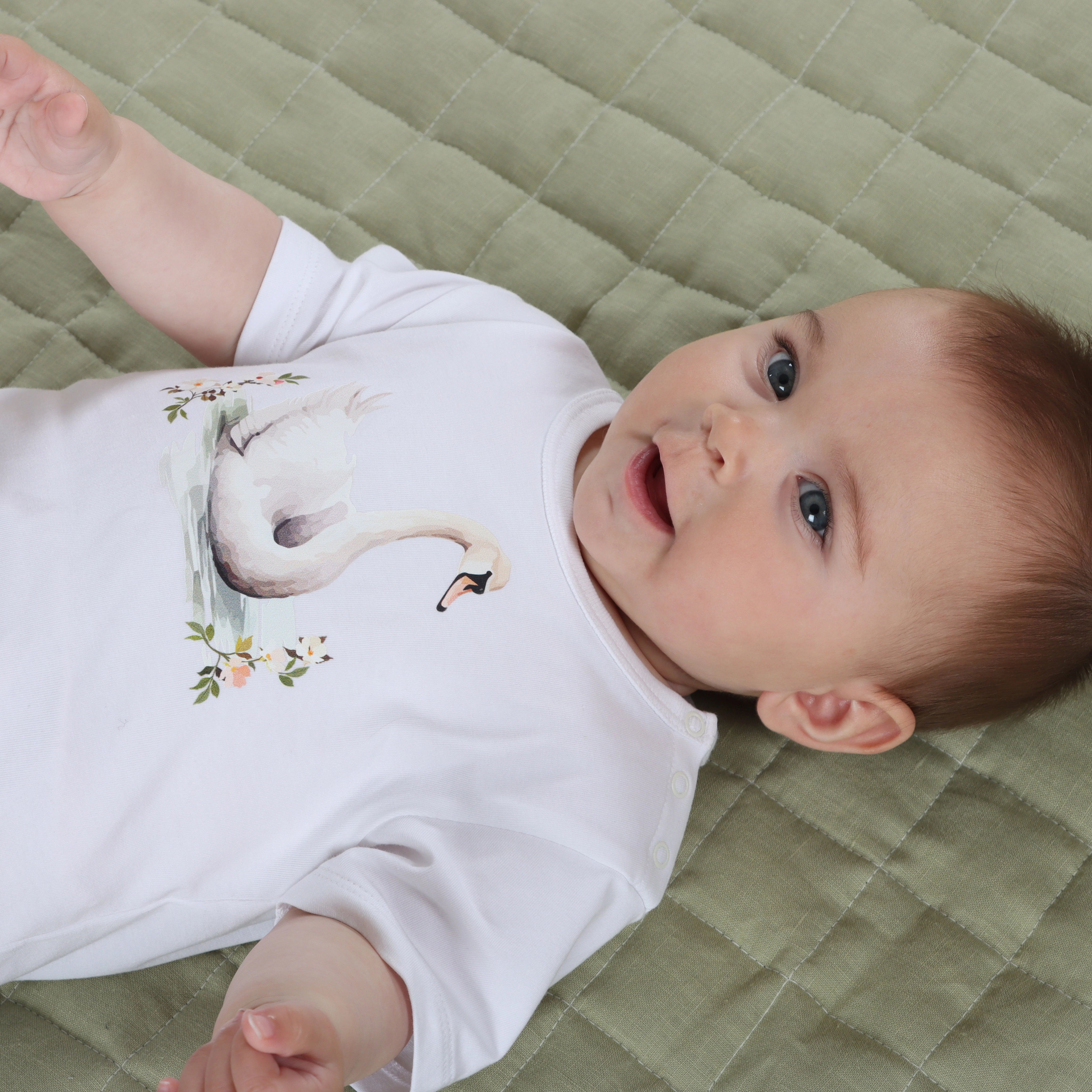 Cotton T-Shirt