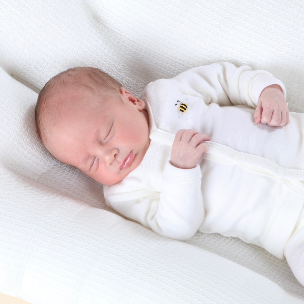 Baby Lounger - Little Bee by Dimples - Dimples