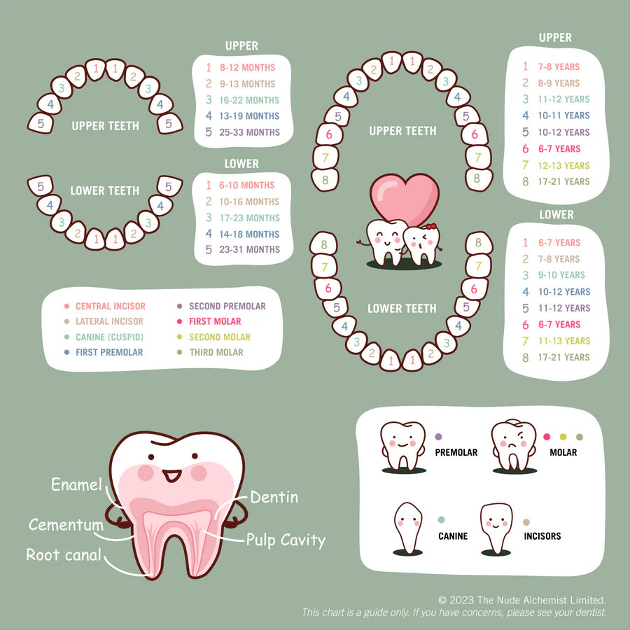 Nude Alchemist - Teeth chart