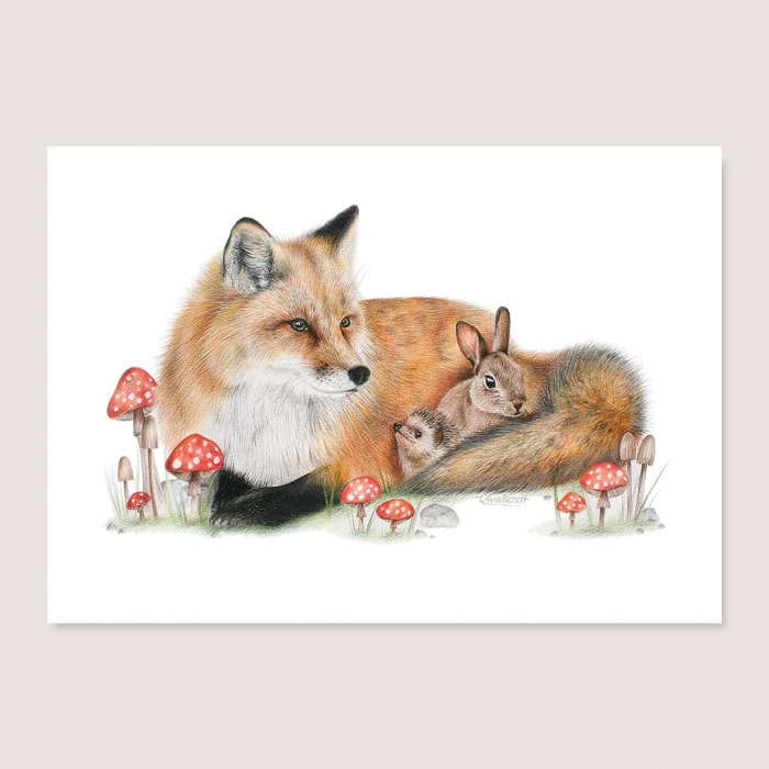 fox and friends post card:image,small_image,thumbnail