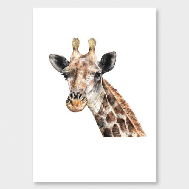 GIraffe Artwork Olivia Bezett Artist:image,small_image,thumbnail