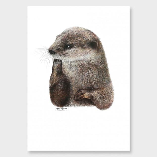 Olivia Bezett Artist Otter:image,small_image,thumbnail,swatch_image
