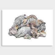 None:image,small_image,thumbnail