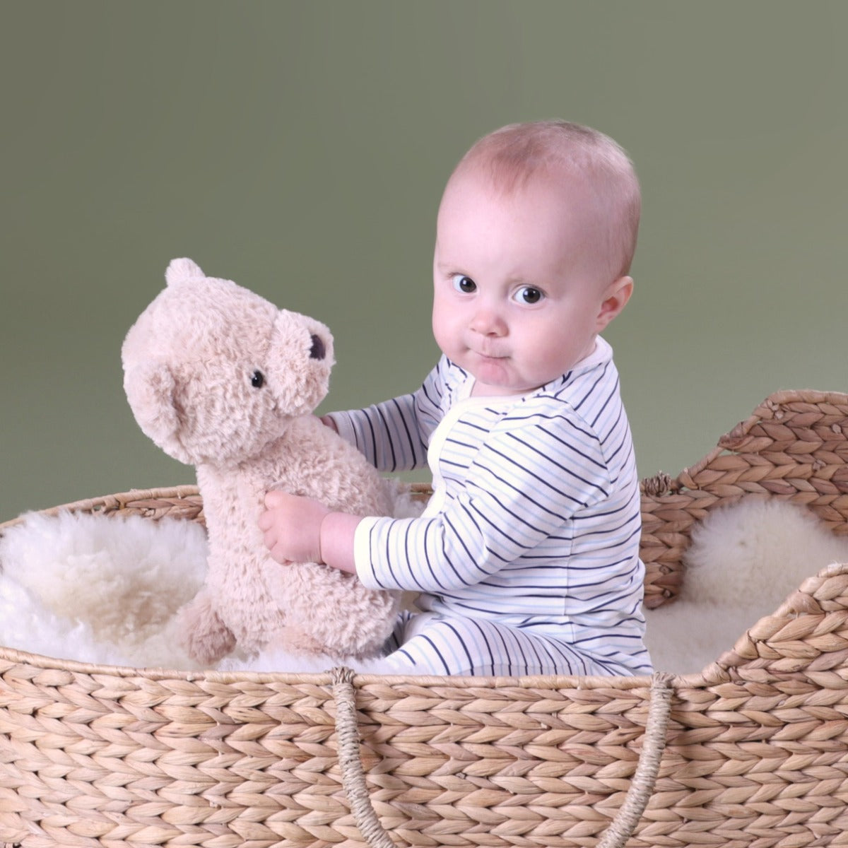 Baby boy wearing Cotton Stripe Babygrow with button sitting in a basket holding bear plush toy