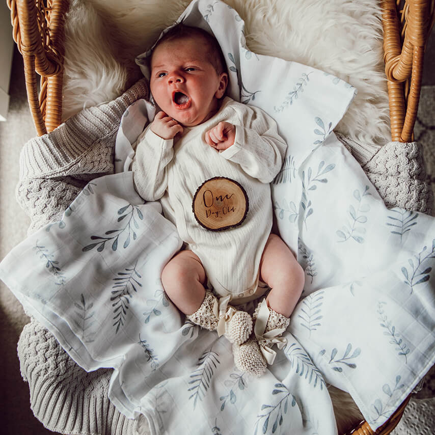 Snuggle Hunny organic muslin wrap wild fern