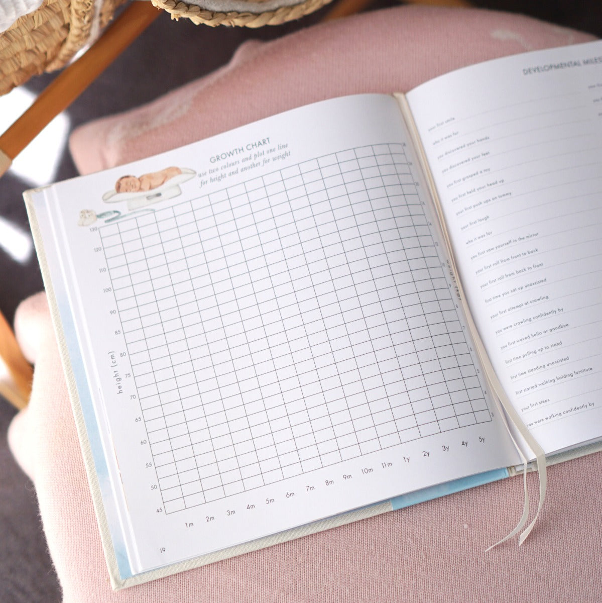 Your first years baby book by she said yes
