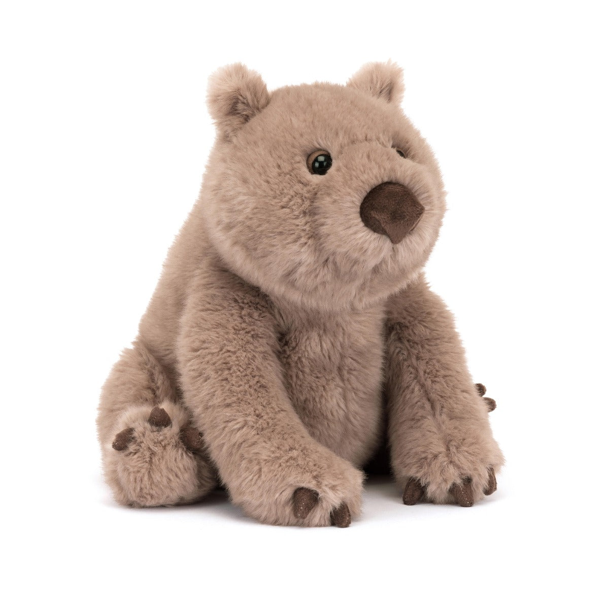 Brown wonda wombat plush toy:image,small_image,thumbnail,swatch_image