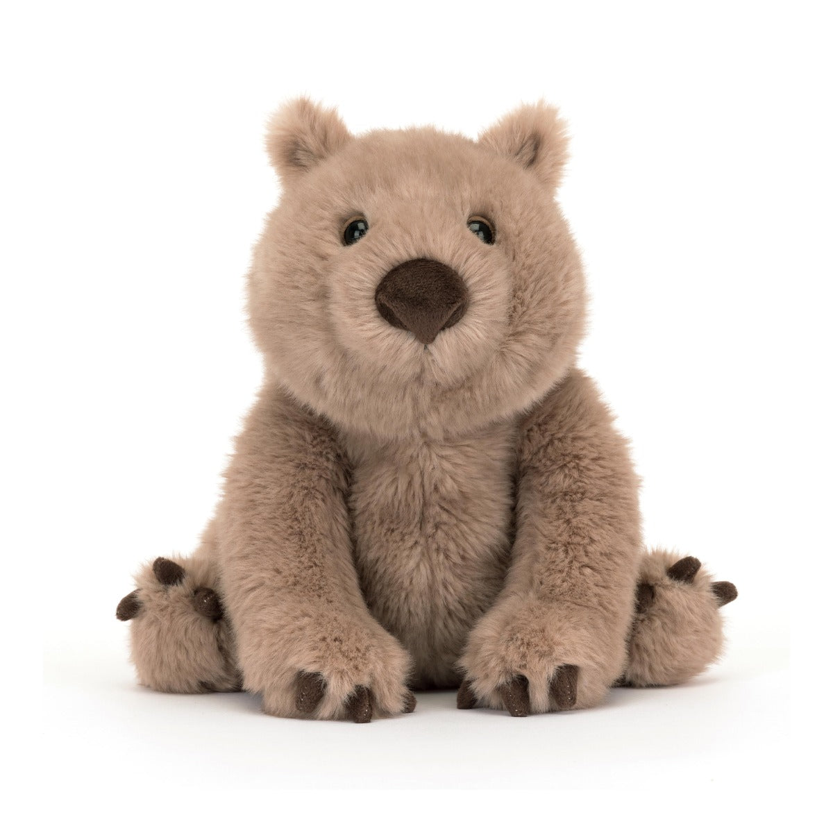 Brown wonda wombat soft toy